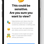 iOS 17 Safety Security